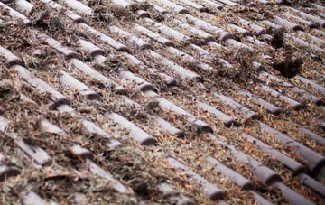 Calton roof cleaning companies